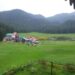 voyage de l'Himachal - Himachal Pradesh