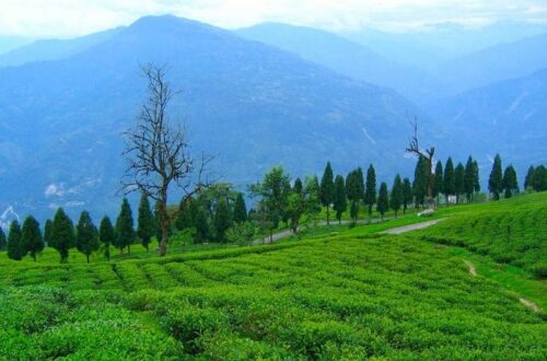 Découvrez les meilleurs endroits à visiter au Sikkim