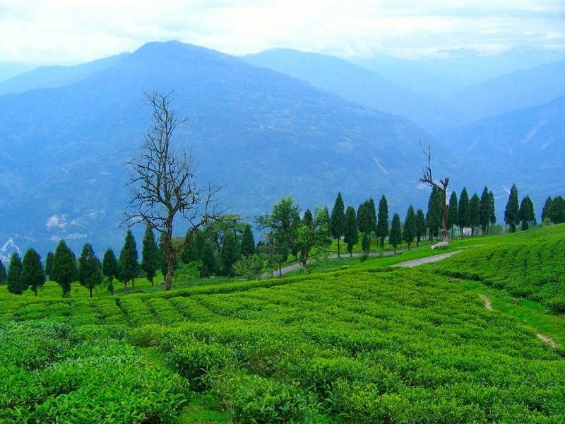 Découvrez les meilleurs endroits à visiter au Sikkim